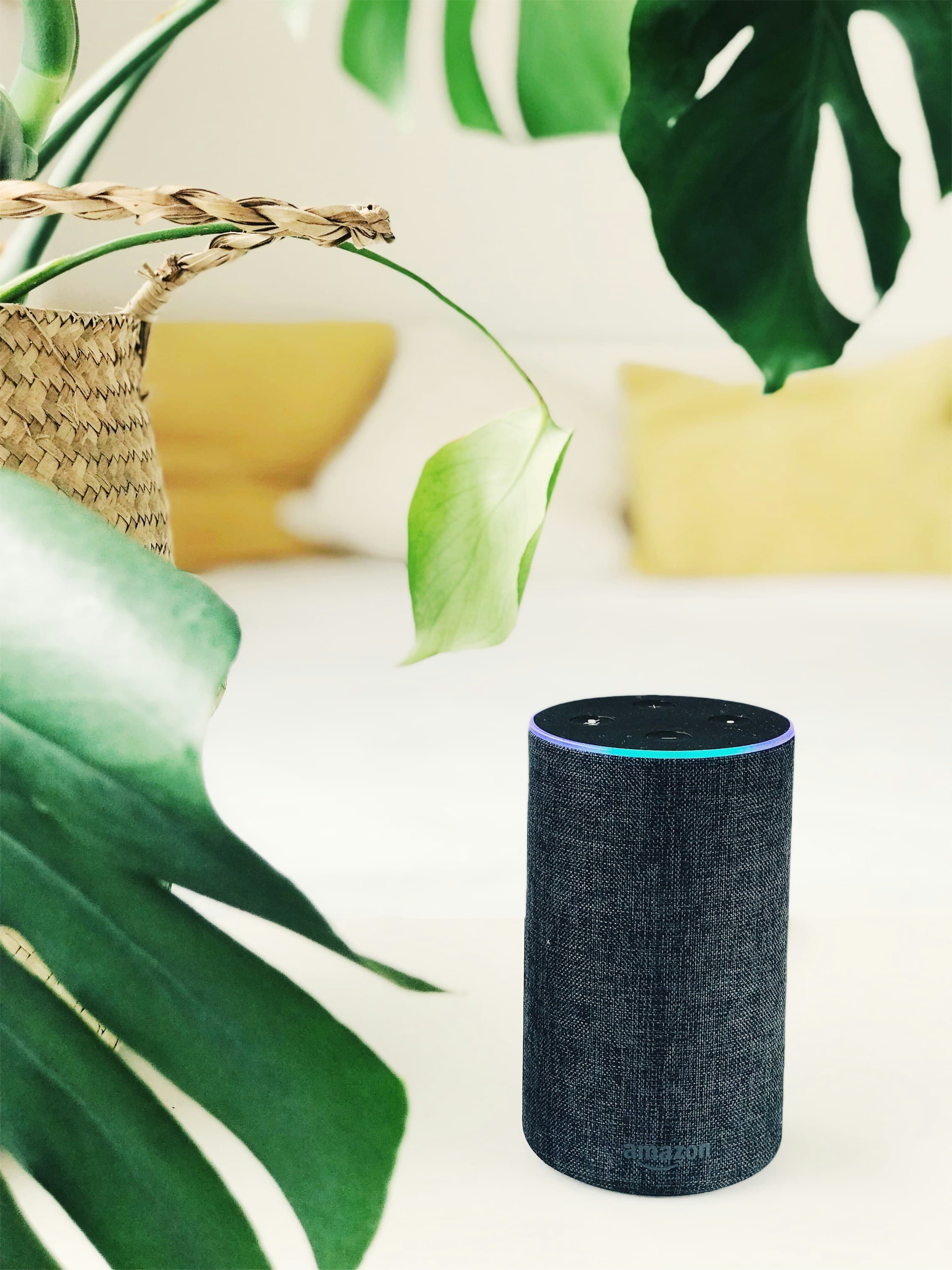 Умная колонка Amazon Echo в интерьере